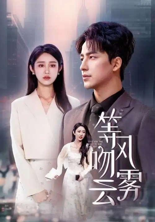 樟木巷的第七个夏天档案抽屉外观，标签写着剧集与上映年份